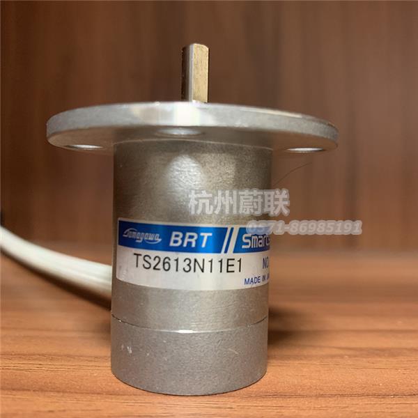 TS2613N11E1