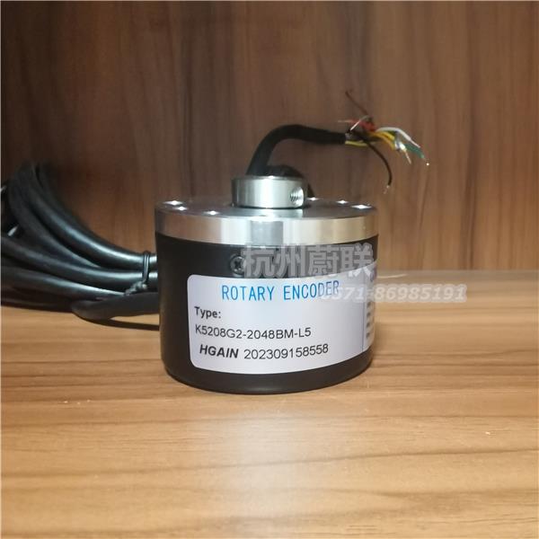 K5208G2-2048BM-L5.001